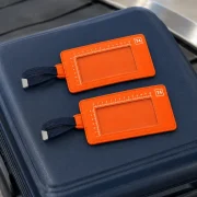 Hi-Vis Tag Pair in use