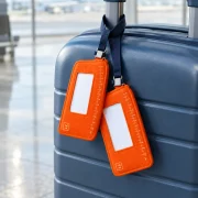 Scale Tag Pair in use